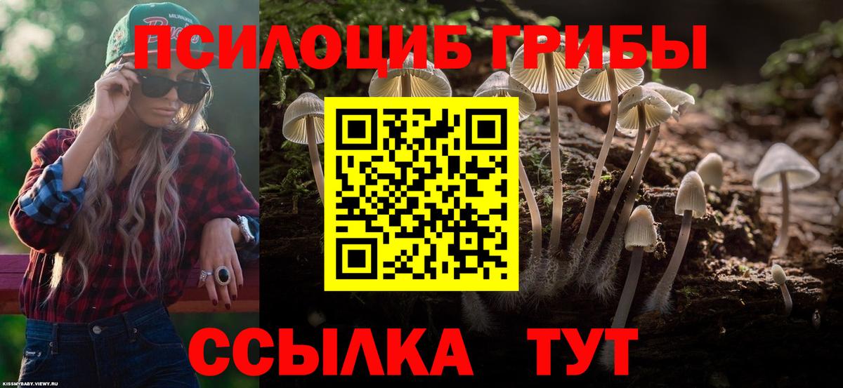 Псилоцибиновые грибы прущие грибы Сергиев Посад