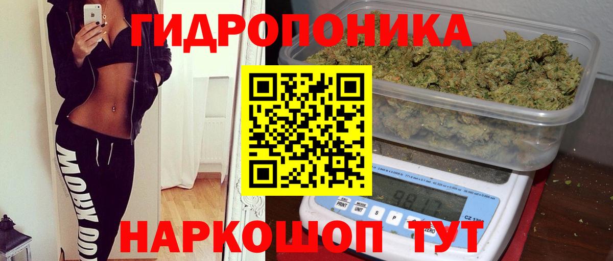Каннабис ГИДРОПОН Сергиев Посад